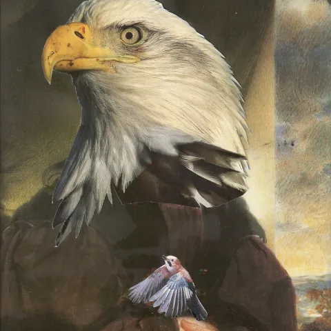 Vogelportrait