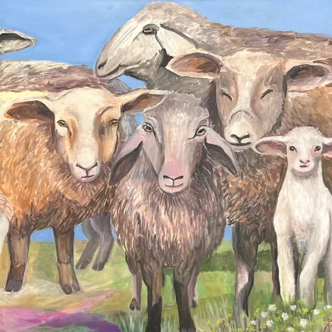 The dream of a black sheep