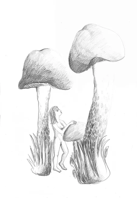 Pilze