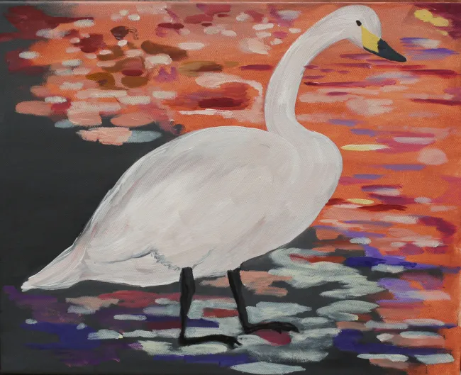 Schwan