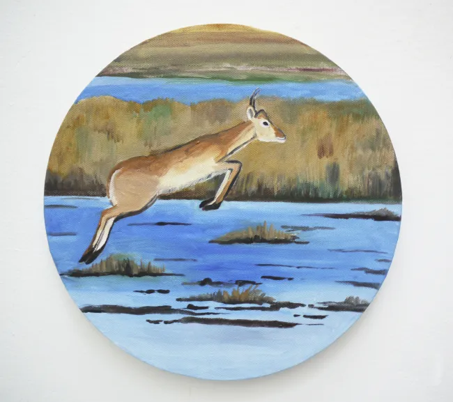 Antilope