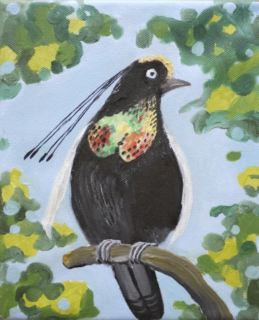 Paradiesvogel 2
